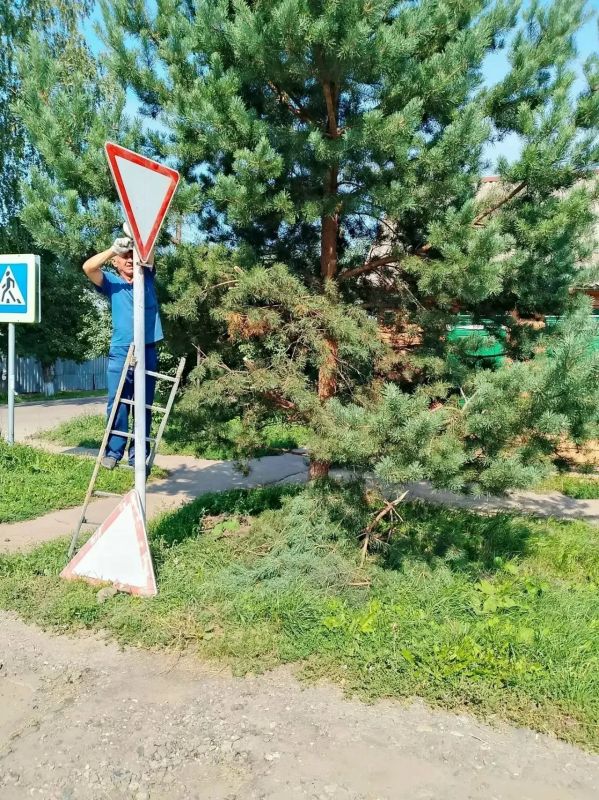 В Тамбове перед учебным годом обновляют дорожные знаки возле школ и детсадов В Тамбове перед учебным годом обновляют дорожные знаки возле школ и детсадов