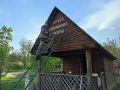 В Тамбовской области откроют Музей соколиной охоты