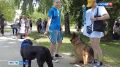 Сегодня пятница, а значит, самое время распланировать предстоящие выходные