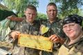 На пасеке в Тамбовской области пчёлы построили соты в форме сердца