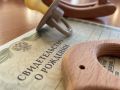 В Тамбовской области 96 студенток получили пособие по беременности и родам