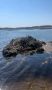 В Тамбовской области за ущерб, причинённый реке Цне, в бюджет взыщут почти полмиллиона рублей