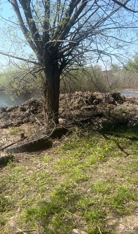 В Тамбовской области за ущерб, причинённый реке Цне, в бюджет взыщут почти полмиллиона рублей В Тамбовской области за ущерб, причинённый реке Цне, в бюджет взыщут почти полмиллиона рублей