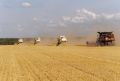 В Тамбовской области аграрии приступили к севу озимых культур