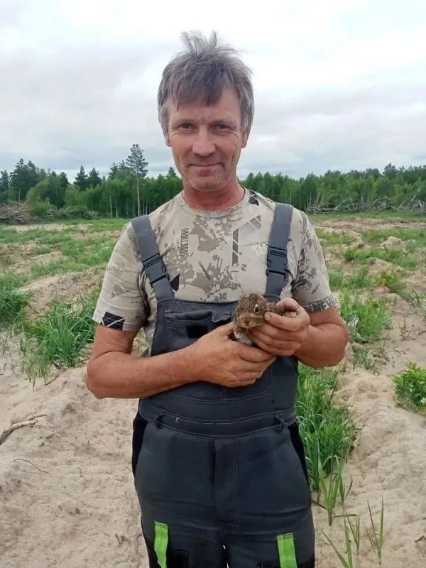 В областном департаменте лесного хозяйства рассказали о своих милых «находках» В областном департаменте лесного хозяйства рассказали о своих милых «находках»