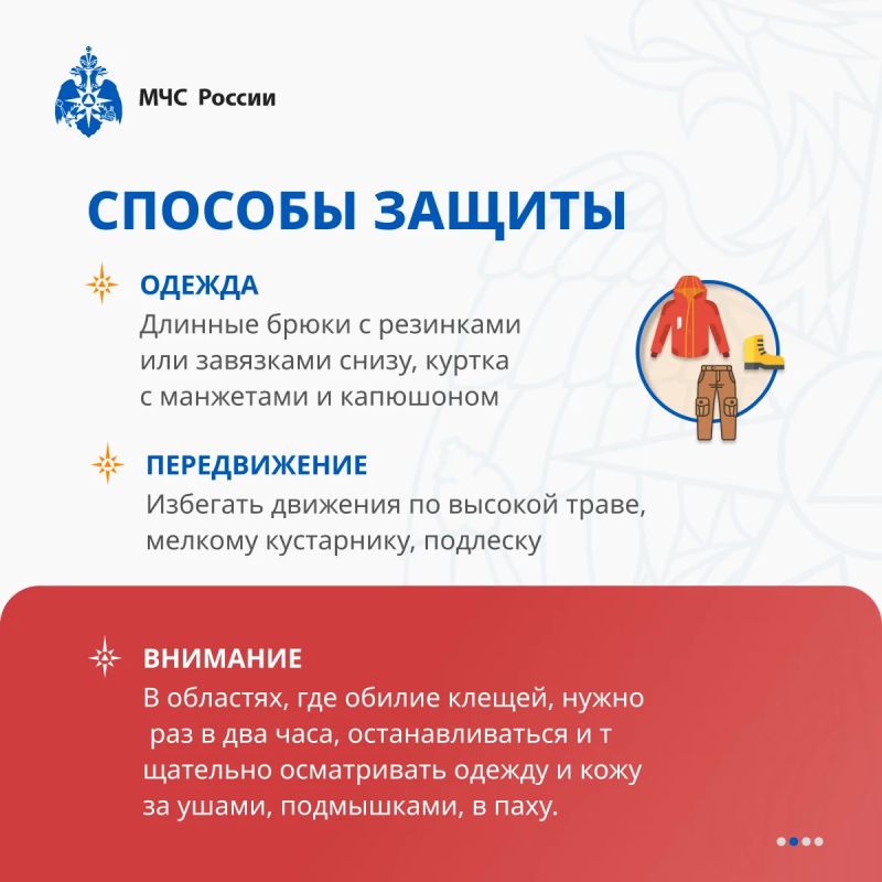 Клещ не дремлет. МЧС России разработало памятки по защите от опасных насекомых специально для тебя Клещ не дремлет. МЧС России разработало памятки по защите от опасных насекомых специально для тебя