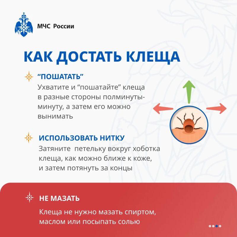 Клещ не дремлет. МЧС России разработало памятки по защите от опасных насекомых специально для тебя Клещ не дремлет. МЧС России разработало памятки по защите от опасных насекомых специально для тебя