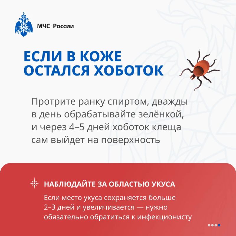 Клещ не дремлет. МЧС России разработало памятки по защите от опасных насекомых специально для тебя Клещ не дремлет. МЧС России разработало памятки по защите от опасных насекомых специально для тебя