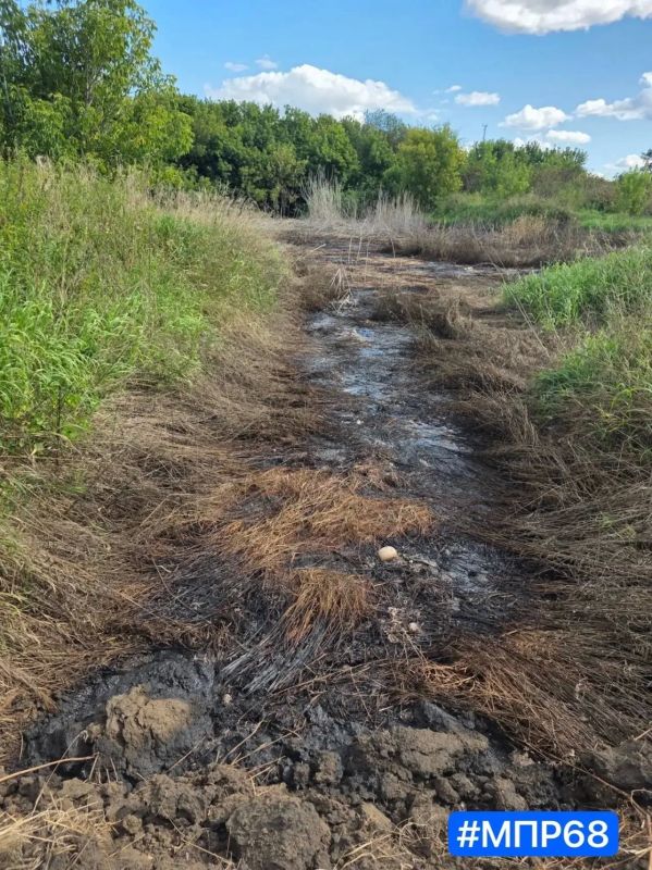 В Бондарском округе ликвидируют последствия разлива барды В Бондарском округе ликвидируют последствия разлива барды