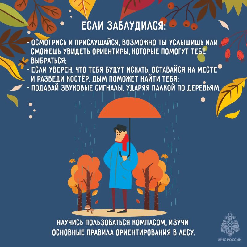 Не знаешь - не бери. Грибы необходимо собирать с особой осторожностью, осень богата на деликатесы с шапочкой Не знаешь - не бери. Грибы необходимо собирать с особой осторожностью, осень богата на деликатесы с шапочкой