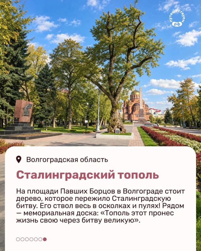 Количество туристических брендов по всей стране растет с каждым годом Количество туристических брендов по всей стране растет с каждым годом