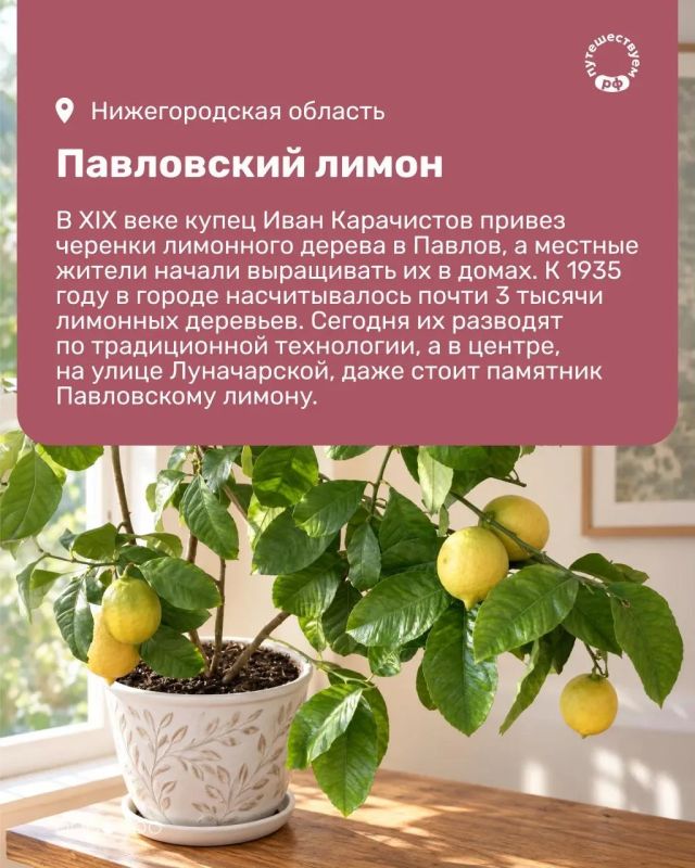 Количество туристических брендов по всей стране растет с каждым годом Количество туристических брендов по всей стране растет с каждым годом