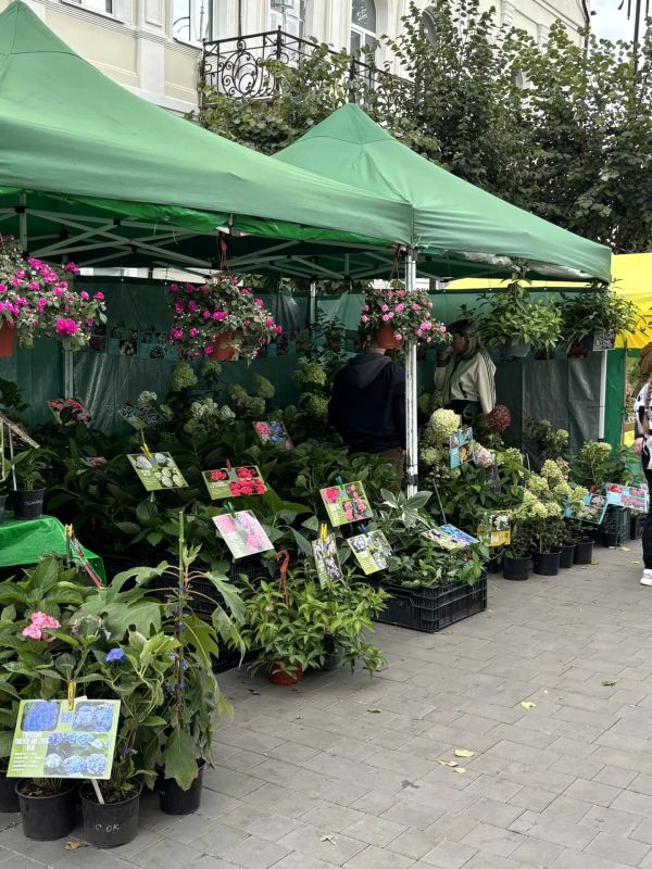 Сегодня в Мичуринске настоящий праздник! Сегодня в Мичуринске настоящий праздник!