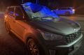 Под Тамбовом автомобилист сбил лося и попал в больницу
