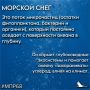 #СловарьЭколога #ТамбовскаяОбласть #МПР68 #Экология68
