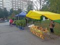 Возле избирательных участков проходят небольшие ярмарки