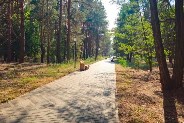 Тамбовские специалисты начали второй этап благоустройства парка в Новоайдаре