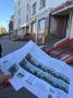 Благоустройство Октябрьской в Тамбове увеличило выручку бизнеса на 15%