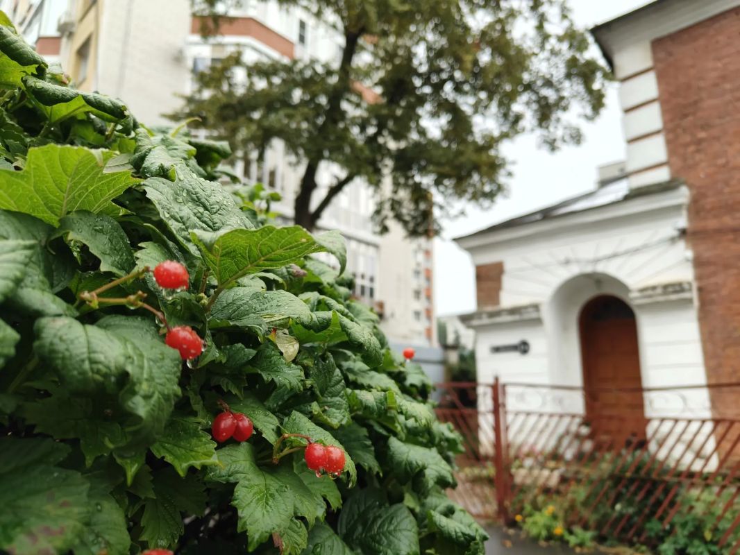 Красивая теплая осень в любимом уютном городе Красивая теплая осень в любимом уютном городе