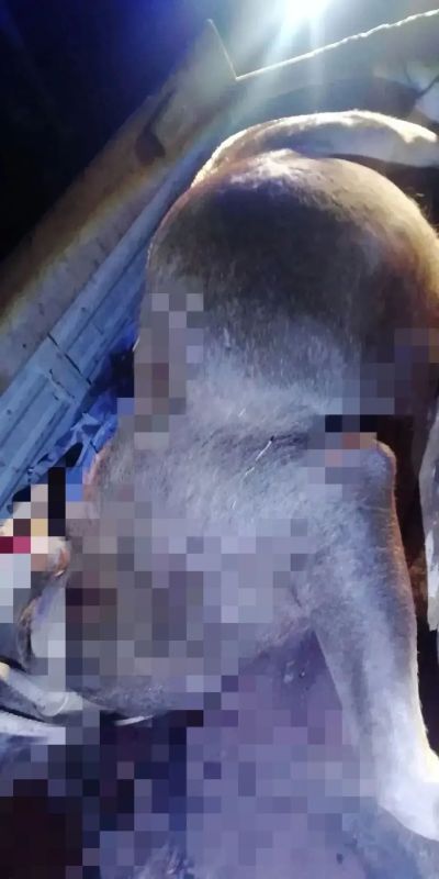 В Тамбовской области зарегистрирован второй факт браконьерства за сутки