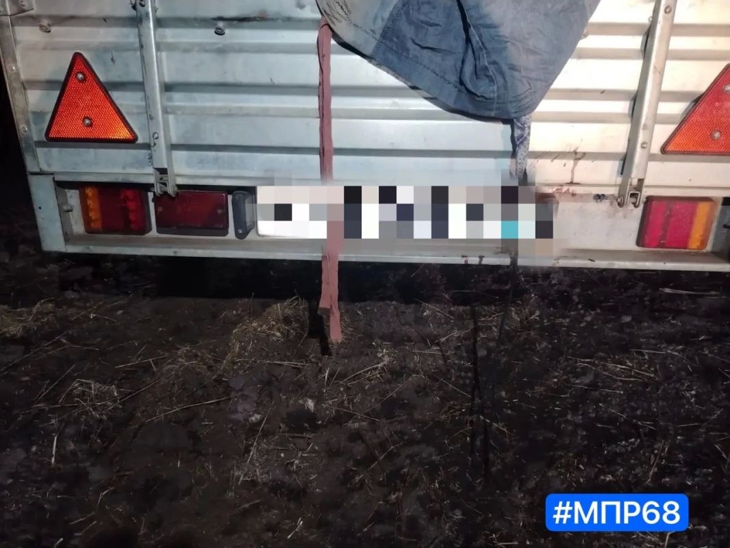 В Сосновском округе автоинспекторы задержали браконьеров, застреливших лося