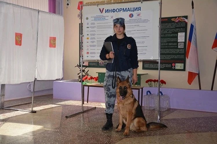 Сотрудниками УМВД России по Тамбовской области обеспечена безопасность при проведении Единого дня голосования в период с 18 по 20 сентября 2026 года Сотрудниками УМВД России по Тамбовской области обеспечена безопасность при проведении Единого дня голосования в период с 18 по 20 сентября 2026 года
