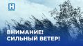 МЧС предупреждает об усилении ветра 24 сентября