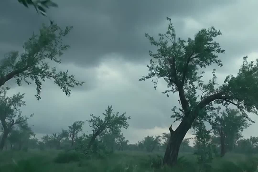 Завтра усиление ветра, будь осторожен
