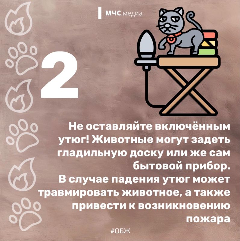 Они не знают о пожарной безопасности Они не знают о пожарной безопасности