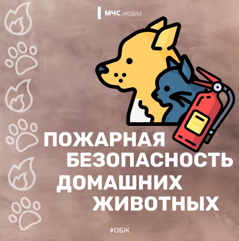 Они не знают о пожарной безопасности