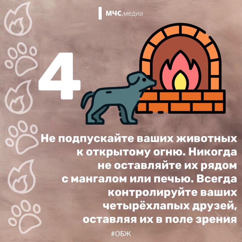 Они не знают о пожарной безопасности Они не знают о пожарной безопасности