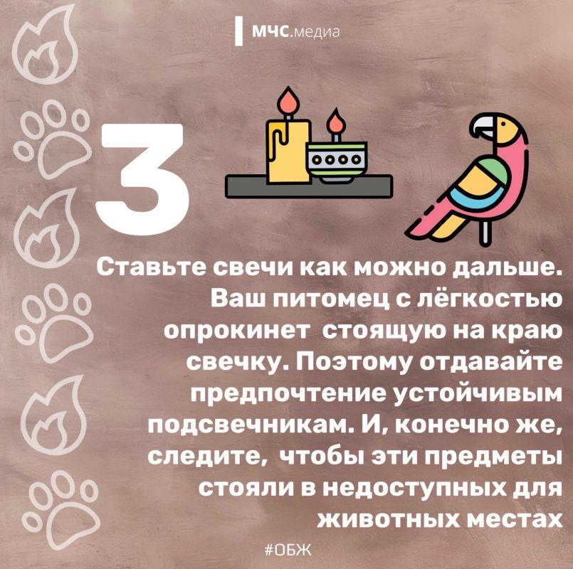 Они не знают о пожарной безопасности Они не знают о пожарной безопасности
