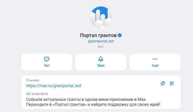 В мессенджере МАКС появился сервис поиска грантов, который теперь доступен и жителям Тамбовской области