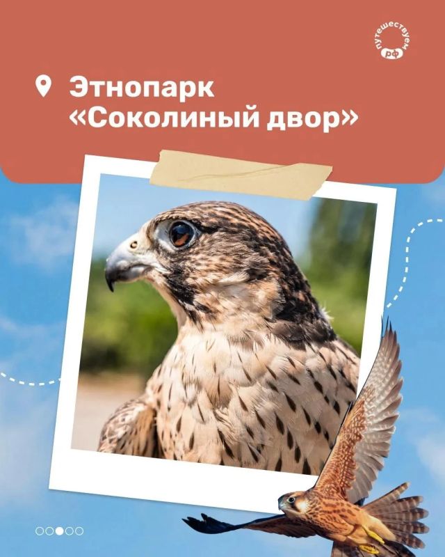 Погулять по саду главного селекционера страны, посмотреть на полеты ловчих птиц и оценить масштаб собора от автора Храма Христа Спасителя — все это можно успеть за один день в Мичуринске Погулять по саду главного селекционера страны, посмотреть на полеты ловчих птиц и оценить масштаб собора от автора Храма Христа Спасителя — все это можно успеть за один день в Мичуринске