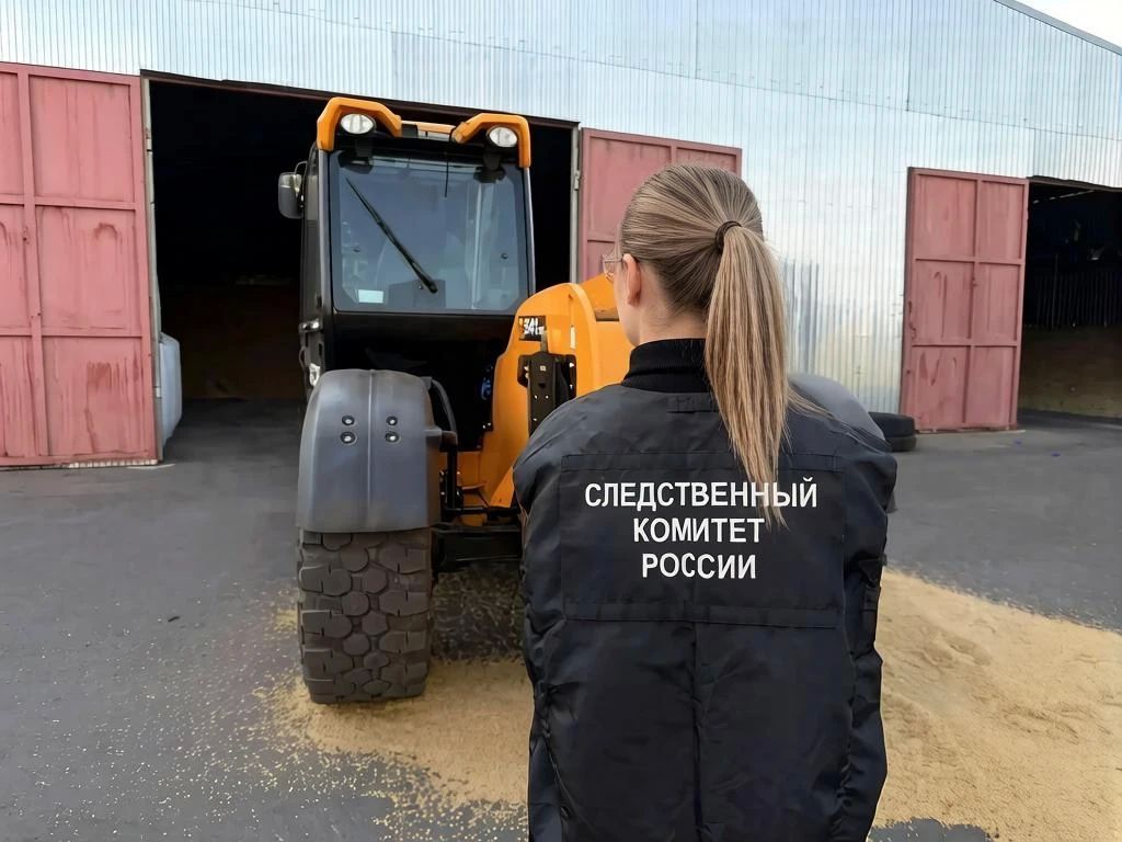 В Сампурском округе завершено расследование уголовного дела о причинении смерти по неосторожности