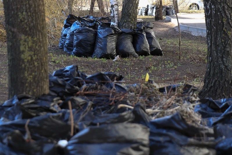 В Тамбове стартовал осенний месячник благоустройства