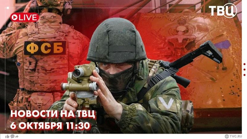 В Тамбовской области сотрудники ФСБ пресекли деятельность пособника украинских спецслужб