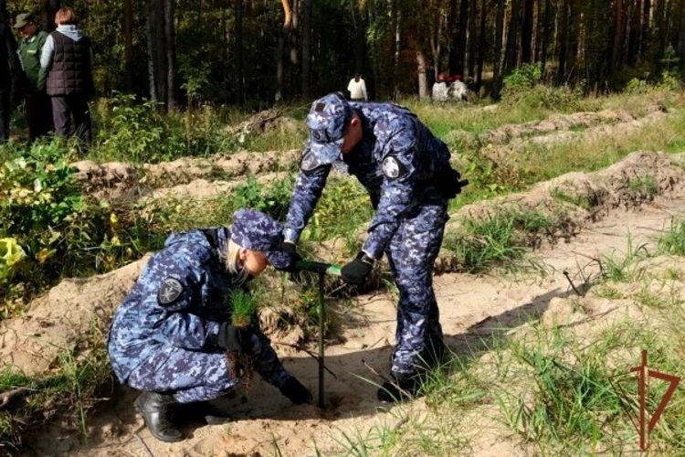 Росгвардейцы приняли участие в ежегодной всероссийской акции по восстановлению лесов в Тамбовской области