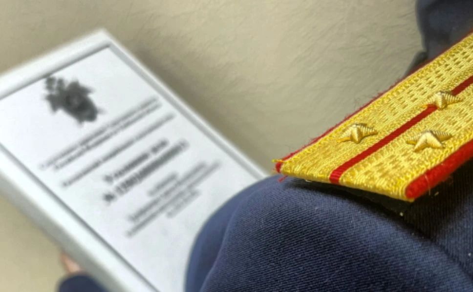 В Кирсанове завершено расследование уголовного дела в отношении местной жительницы, обвиняемой в применении насилия в отношении представителя власти