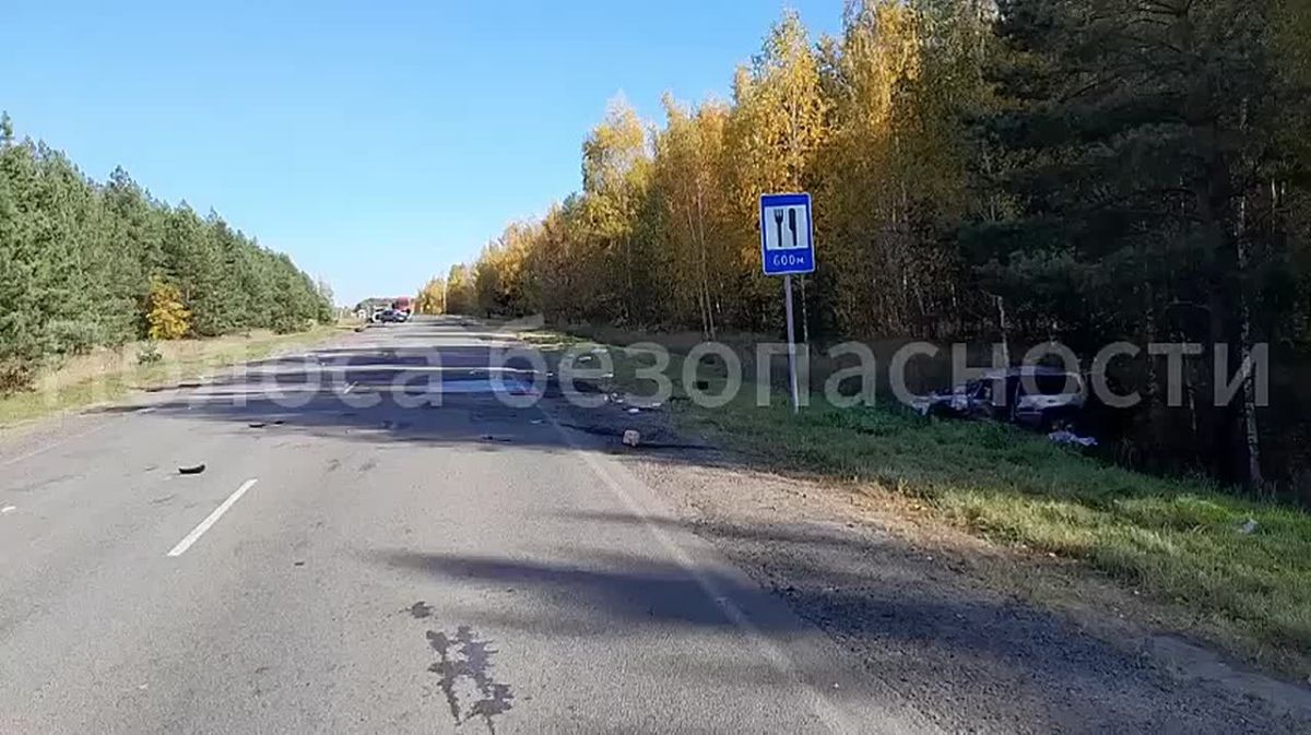 Два человека погибли в результате лобового столкновения «Suzuki Swift» и «Lada Niva» на трассе в Тамбовской области
