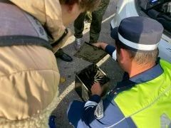 Экскурсия в Госавтоинспекцию: учащиеся МБОУ СОШ №17 «Юнармеец» расширили знания о дорожной безопасности Экскурсия в Госавтоинспекцию: учащиеся МБОУ СОШ №17 «Юнармеец» расширили знания о дорожной безопасности