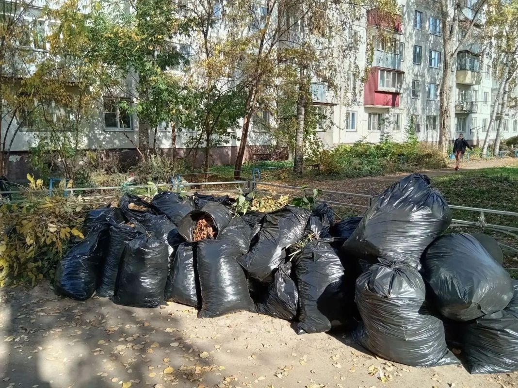 Более 80 субботников прошло в выходные в Тамбове Более 80 субботников прошло в выходные в Тамбове