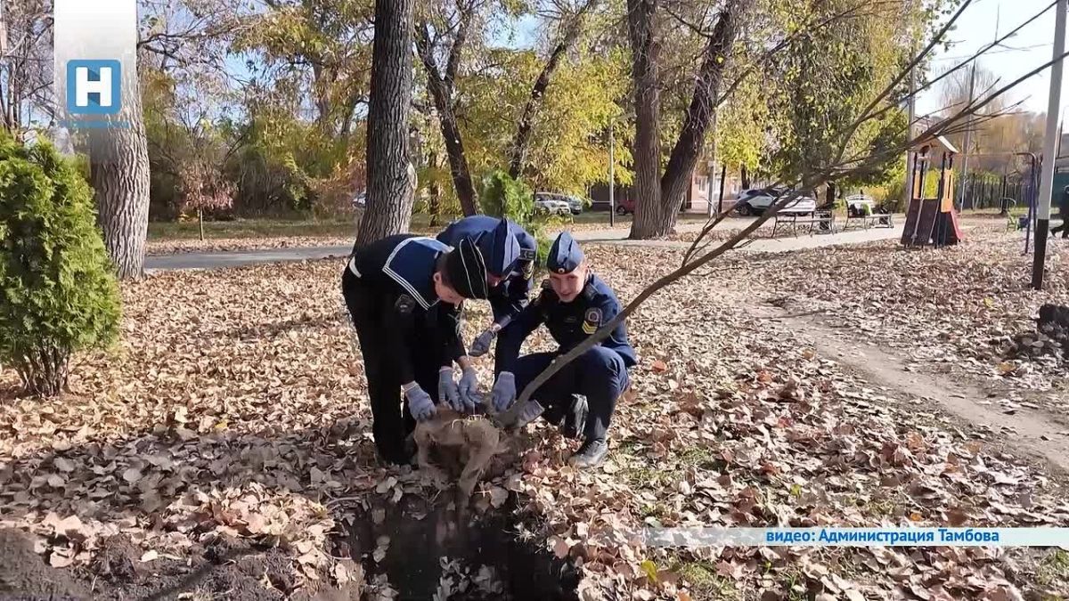 Кадеты Тамбова высадили в лётном городке 15 клёнов