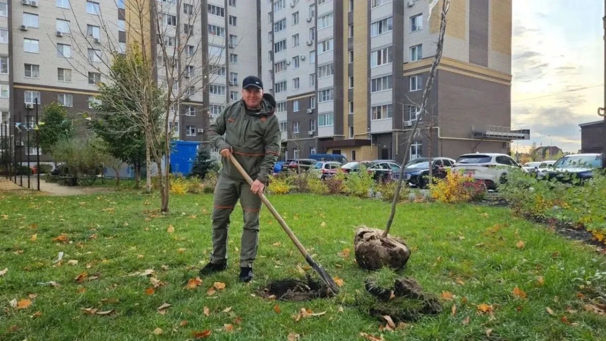 В Тамбове дирекция благоустройства выделила жителям более 450 кустарников и деревьев для озеленения дворов