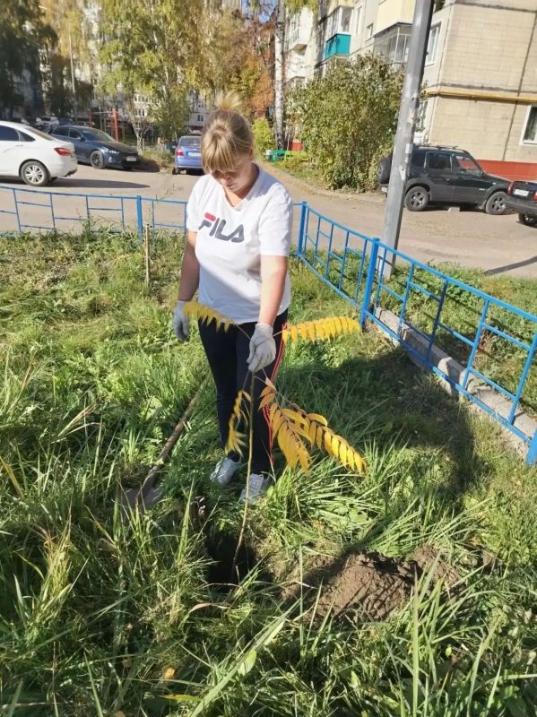 В Тамбове дирекция благоустройства выделила жителям более 450 кустарников и деревьев для озеленения дворов В Тамбове дирекция благоустройства выделила жителям более 450 кустарников и деревьев для озеленения дворов