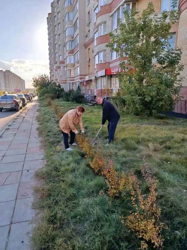 В Тамбове дирекция благоустройства выделила жителям более 450 кустарников и деревьев для озеленения дворов В Тамбове дирекция благоустройства выделила жителям более 450 кустарников и деревьев для озеленения дворов