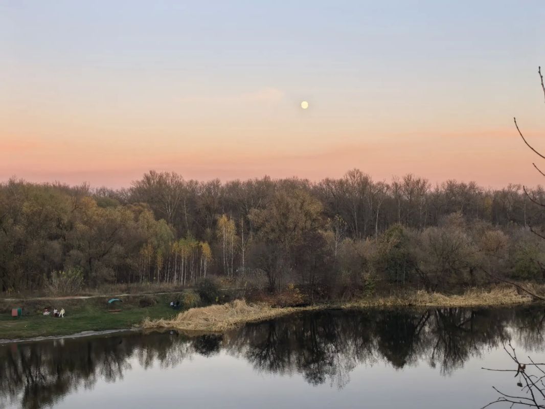 Главное в ТОПе за 26 октября: