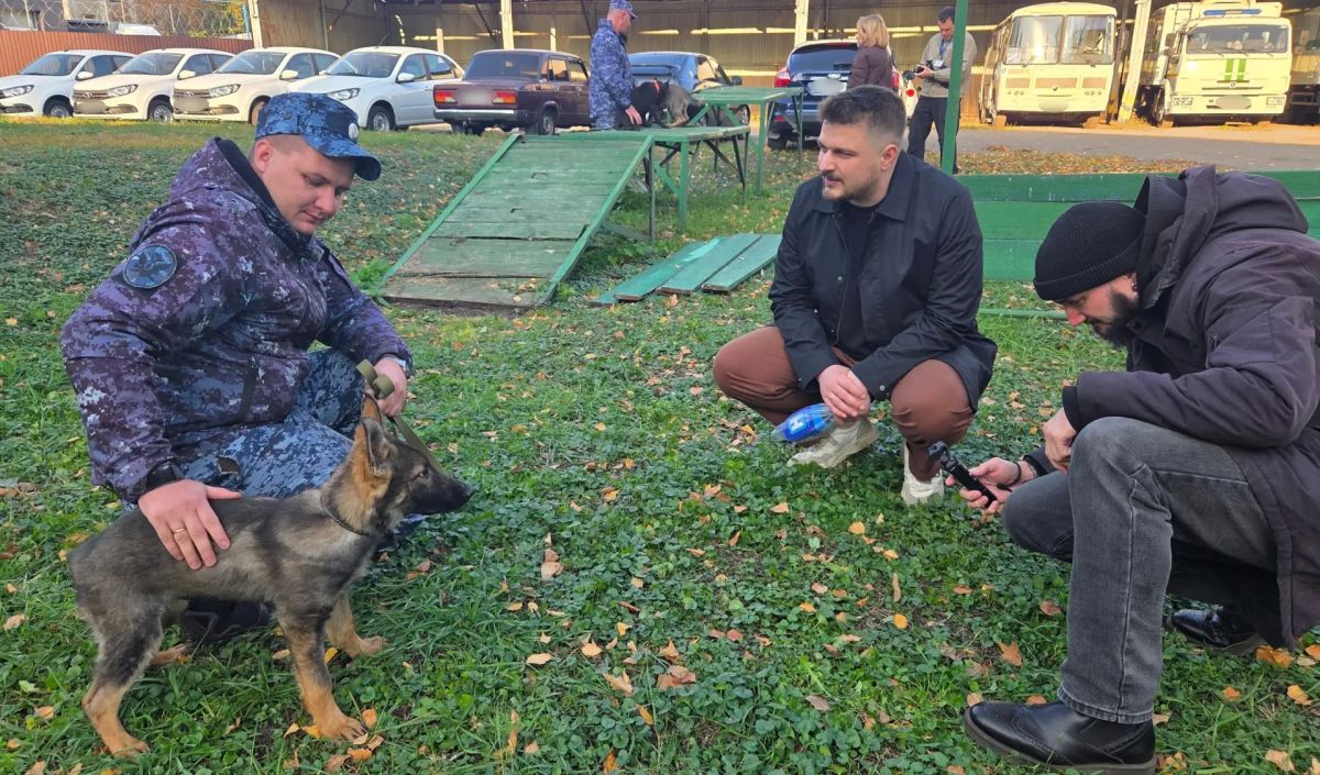 Пять щенков немецкой овчарки пополнили кинологическую службу УФСИН в Тамбовской области