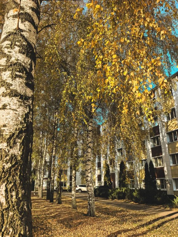 Фото наших подписчиков, присланные в чат-бот редакции Фото наших подписчиков, присланные в чат-бот редакции