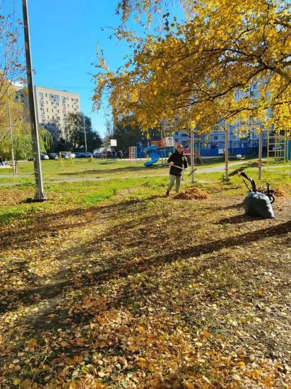 Субботники объединяют: жители Тамбова наводят порядок во дворах Субботники объединяют: жители Тамбова наводят порядок во дворах